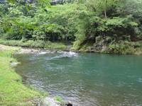 秩父フライフィールド 釣果