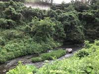 秩父フライフィールド 釣果