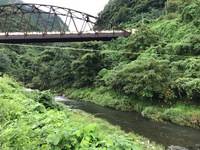 秩父フライフィールド 釣果