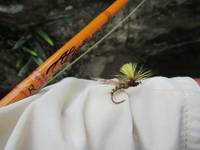 秩父フライフィールド 釣果