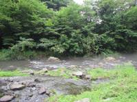 秩父フライフィールド 釣果