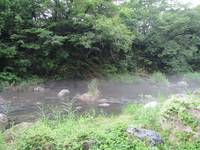 秩父フライフィールド 釣果