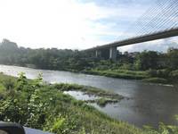 秩父フライフィールド 釣果