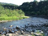 秩父フライフィールド 釣果