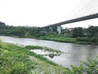 秩父フライフィールド 釣果