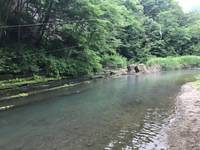 秩父フライフィールド 釣果