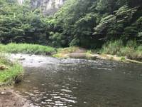 秩父フライフィールド 釣果