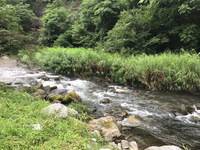 秩父フライフィールド 釣果