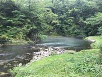 秩父フライフィールド 釣果