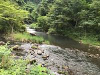 秩父フライフィールド 釣果