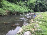 秩父フライフィールド 釣果