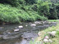 秩父フライフィールド 釣果