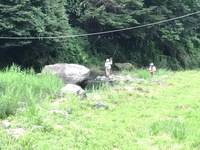 秩父フライフィールド 釣果