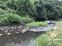 秩父フライフィールド 釣果