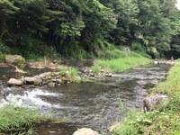 秩父フライフィールド 釣果