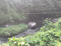 秩父フライフィールド 釣果