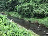 秩父フライフィールド 釣果