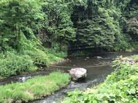 秩父フライフィールド 釣果