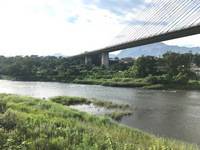 秩父フライフィールド 釣果