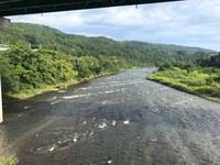 秩父フライフィールド 釣果