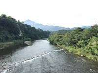 秩父フライフィールド 釣果