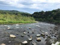 秩父フライフィールド 釣果