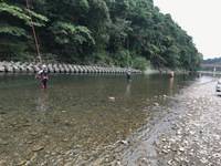 秩父フライフィールド 釣果