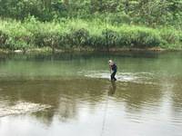 秩父フライフィールド 釣果