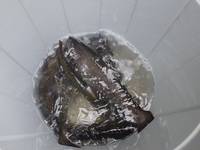 秩父フライフィールド 釣果