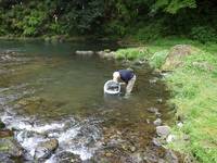 秩父フライフィールド 釣果