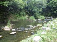 秩父フライフィールド 釣果