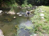 秩父フライフィールド 釣果