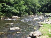 秩父フライフィールド 釣果