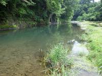 秩父フライフィールド 釣果