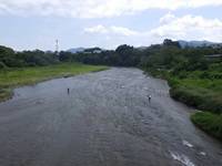 秩父フライフィールド 釣果