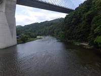 秩父フライフィールド 釣果