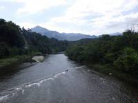 秩父フライフィールド 釣果