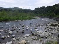 秩父フライフィールド 釣果