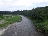 秩父フライフィールド 釣果