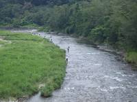 秩父フライフィールド 釣果