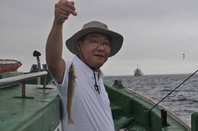 根岸丸 釣果