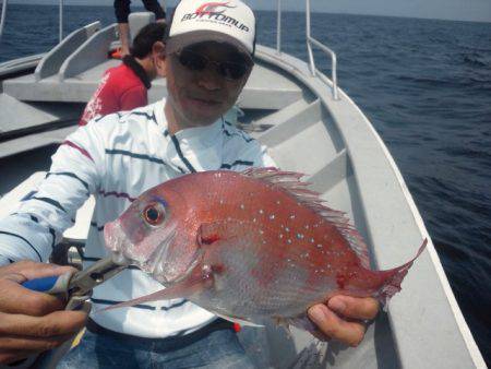 第二明康丸 釣果