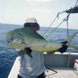 第二明康丸 釣果