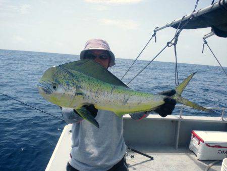 第二明康丸 釣果