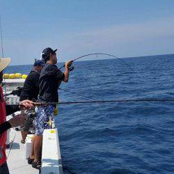 海季丸(みきまる) 釣果