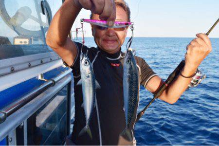 渡船屋たにぐち 釣果