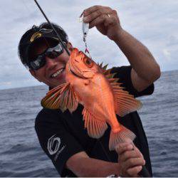 渡船屋たにぐち 釣果