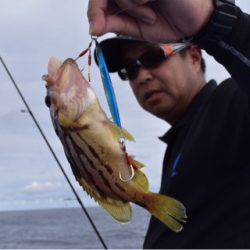 渡船屋たにぐち 釣果