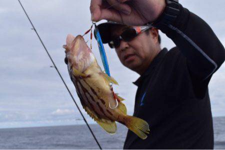 渡船屋たにぐち 釣果