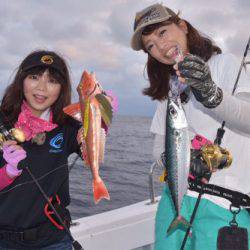 渡船屋たにぐち 釣果